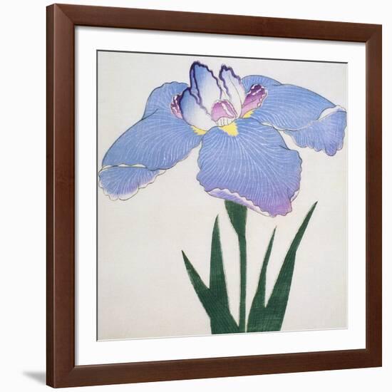 Kaku Jaku Ro Book of a Blue Iris-Stapleton Collection-Framed Giclee Print