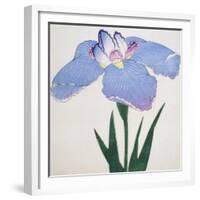 Kaku Jaku Ro Book of a Blue Iris-Stapleton Collection-Framed Giclee Print