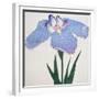 Kaku Jaku Ro Book of a Blue Iris-Stapleton Collection-Framed Giclee Print