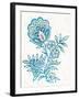 Kala Flower II-Sue Schlabach-Framed Art Print