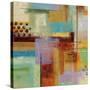 Kalahari Colors-Hilda Stamer-Stretched Canvas