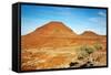 Kalahari Desert Landscape-DmitryP-Framed Stretched Canvas