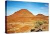 Kalahari Desert Landscape-DmitryP-Stretched Canvas