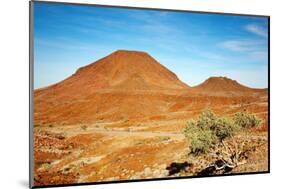 Kalahari Desert Landscape-DmitryP-Mounted Photographic Print