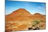 Kalahari Desert Landscape-DmitryP-Mounted Photographic Print