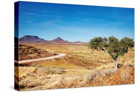 Kalahari Desert, Namibia-DmitryP-Stretched Canvas