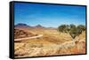 Kalahari Desert, Namibia-DmitryP-Framed Stretched Canvas