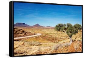 Kalahari Desert, Namibia-DmitryP-Framed Stretched Canvas