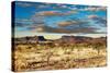 Kalahari Desert, Namibia-DmitryP-Stretched Canvas