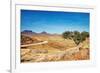 Kalahari Desert, Namibia-DmitryP-Framed Photographic Print