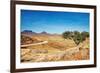 Kalahari Desert, Namibia-DmitryP-Framed Photographic Print