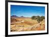 Kalahari Desert, Namibia-DmitryP-Framed Photographic Print