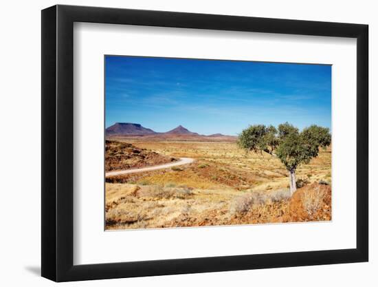 Kalahari Desert, Namibia-DmitryP-Framed Photographic Print