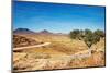 Kalahari Desert, Namibia-DmitryP-Mounted Photographic Print