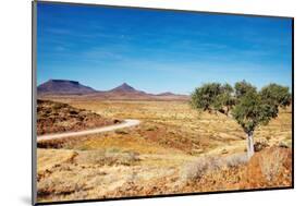 Kalahari Desert, Namibia-DmitryP-Mounted Photographic Print