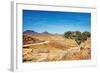 Kalahari Desert, Namibia-DmitryP-Framed Photographic Print