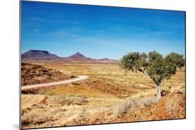 Kalahari Desert, Namibia-DmitryP-Mounted Photographic Print