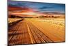 Kalahari Desert, Namibia-DmitryP-Mounted Photographic Print