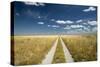 Kalahari Desert Track, Magadikgadi Pans National Park, Botswana-Paul Souders-Stretched Canvas