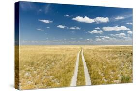 Kalahari Desert Track, Magadikgadi Pans National Park, Botswana-Paul Souders-Stretched Canvas