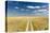 Kalahari Desert Track, Magadikgadi Pans National Park, Botswana-Paul Souders-Stretched Canvas