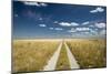 Kalahari Desert Track, Magadikgadi Pans National Park, Botswana-Paul Souders-Mounted Photographic Print