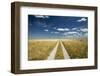 Kalahari Desert Track, Magadikgadi Pans National Park, Botswana-Paul Souders-Framed Photographic Print