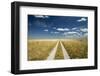 Kalahari Desert Track, Magadikgadi Pans National Park, Botswana-Paul Souders-Framed Photographic Print