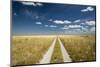 Kalahari Desert Track, Magadikgadi Pans National Park, Botswana-Paul Souders-Mounted Photographic Print