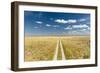 Kalahari Desert Track, Magadikgadi Pans National Park, Botswana-Paul Souders-Framed Photographic Print