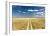 Kalahari Desert Track, Magadikgadi Pans National Park, Botswana-Paul Souders-Framed Photographic Print