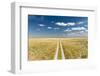 Kalahari Desert Track, Magadikgadi Pans National Park, Botswana-Paul Souders-Framed Photographic Print