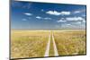 Kalahari Desert Track, Magadikgadi Pans National Park, Botswana-Paul Souders-Mounted Photographic Print