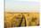 Kalahari Desert Track, Nxai Pan National Park, Botswana-Paul Souders-Stretched Canvas