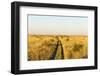 Kalahari Desert Track, Nxai Pan National Park, Botswana-Paul Souders-Framed Photographic Print