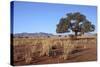 Kalahari Desert-jlombard-Stretched Canvas