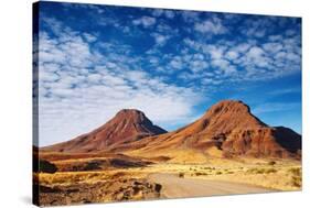 Kalahari Desert-DmitryP-Stretched Canvas