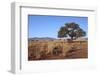 Kalahari Desert-jlombard-Framed Photographic Print