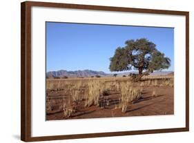 Kalahari Desert-jlombard-Framed Photographic Print