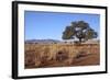 Kalahari Desert-jlombard-Framed Photographic Print