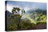 Kalalau Lookout over the Napali Coast from the Kokee State Park-Michael Runkel-Stretched Canvas