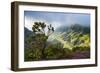 Kalalau Lookout over the Napali Coast from the Kokee State Park-Michael Runkel-Framed Photographic Print