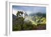 Kalalau Lookout over the Napali Coast from the Kokee State Park-Michael Runkel-Framed Photographic Print