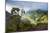 Kalalau Lookout over the Napali Coast from the Kokee State Park-Michael Runkel-Mounted Photographic Print