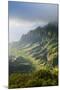 Kalalau Lookout over the Napali Coast from the Kokee State Park-Michael Runkel-Mounted Photographic Print