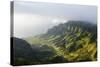 Kalalau Lookout over the Napali Coast from the Kokee State Park-Michael Runkel-Stretched Canvas