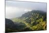 Kalalau Lookout over the Napali Coast from the Kokee State Park-Michael Runkel-Mounted Photographic Print