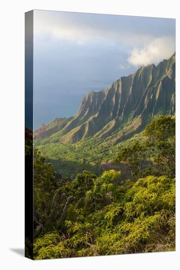 Kalalau Lookout over the Napali Coast from the Kokee State Park-Michael Runkel-Stretched Canvas