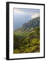 Kalalau Lookout over the Napali Coast from the Kokee State Park-Michael Runkel-Framed Photographic Print