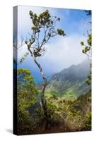 Kalalau Lookout over the Napali Coast from the Kokee State Park-Michael Runkel-Stretched Canvas